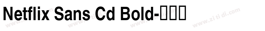 Netflix Sans Cd Bold字体转换